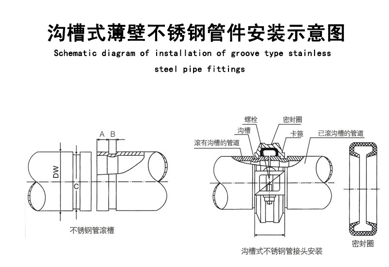 溝槽式好色先生TV网站