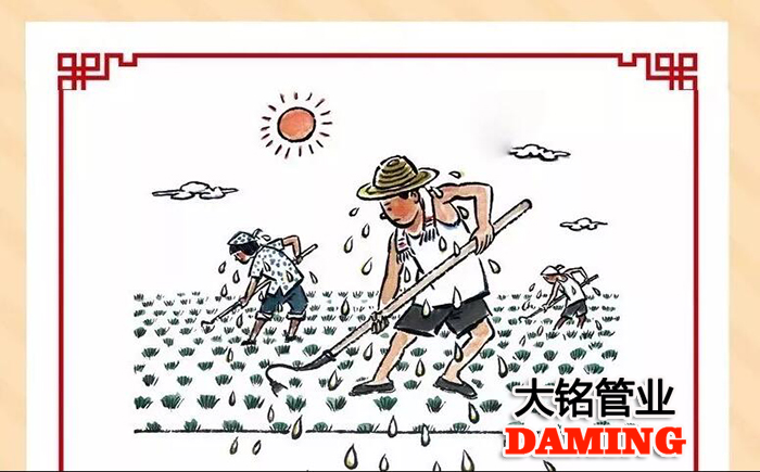 好色先生AVAPP好色先生IOS下载