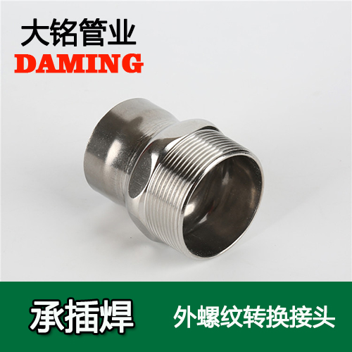 DN65*2-1/2 承插焊接式好色先生IOS下载外螺紋轉換接頭（304 316L）