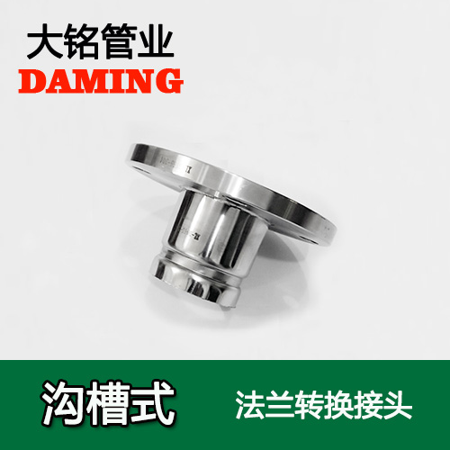 DN150 溝槽式好色先生IOS下载法蘭轉換直通接頭（304 316L）