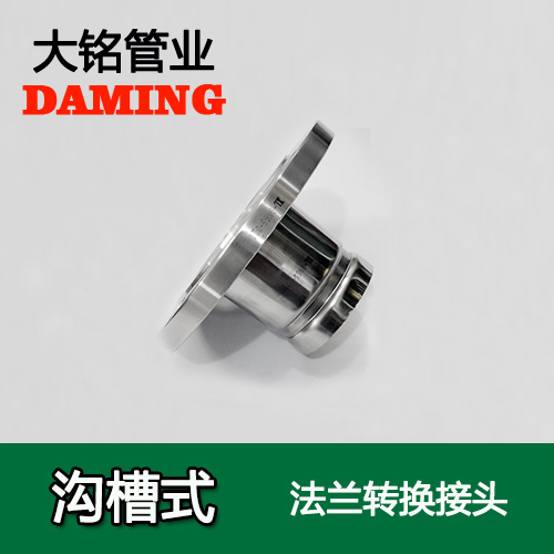 DN200 溝槽式好色先生IOS下载法蘭轉換直通接頭（304 316L）