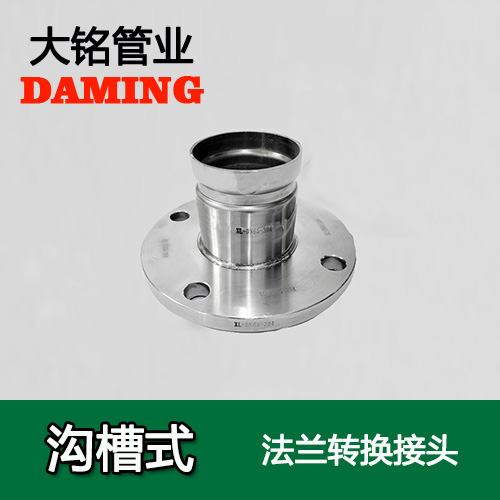 DN250 溝槽式好色先生IOS下载法蘭轉換直通接頭（304 316L）