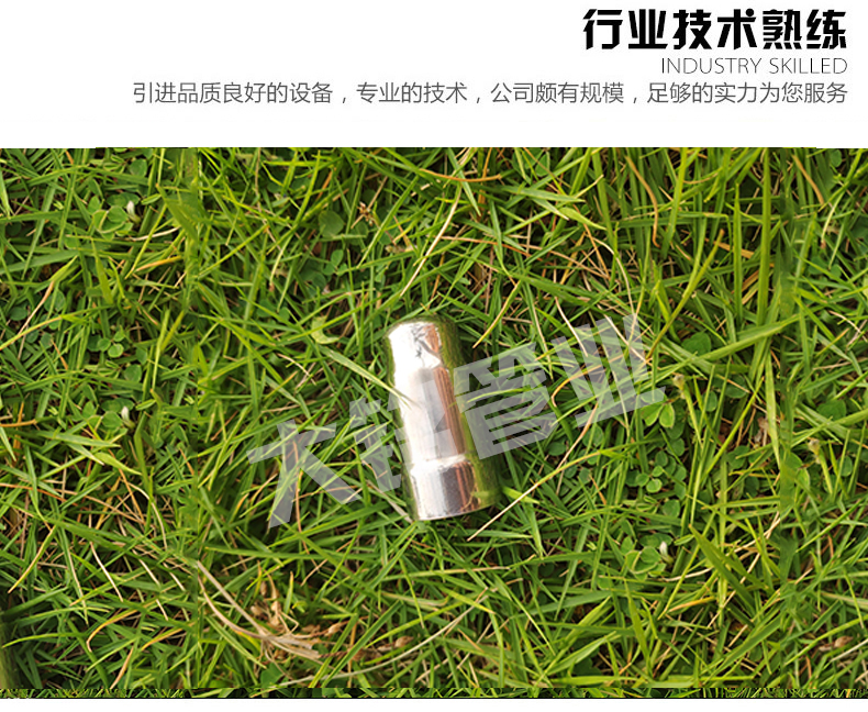好色先生IOS下载水管堵頭