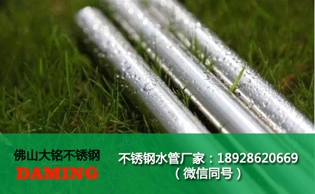 316好色先生IOS下载卡壓管